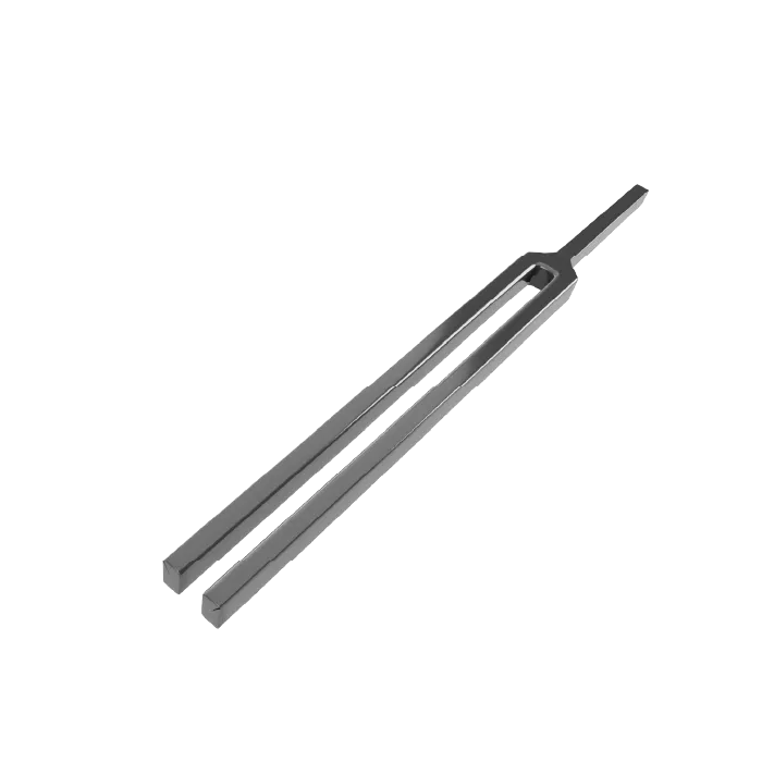 Tuning Fork
